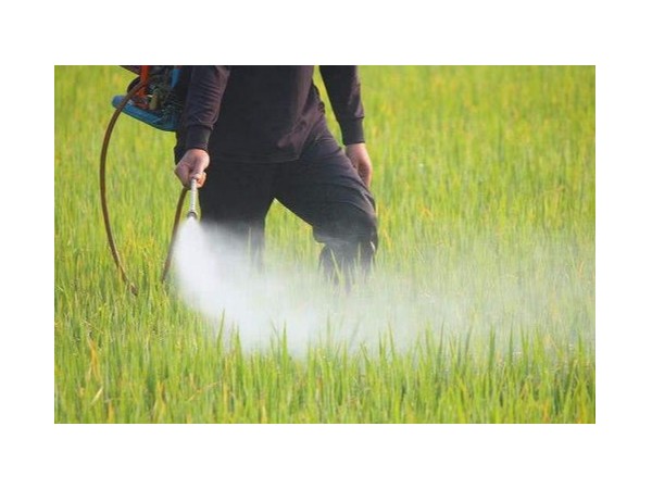 什么是納米農(nóng)藥呢？用砂磨機(jī)制備